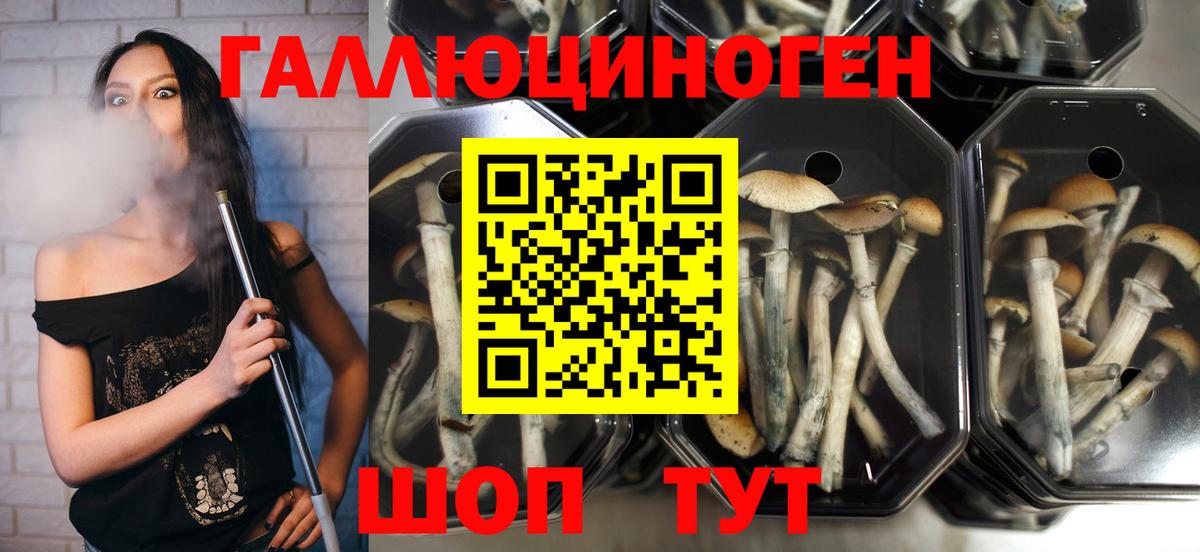 Галлюциногенные грибы мухоморы  Вход с VPN  Кинель 