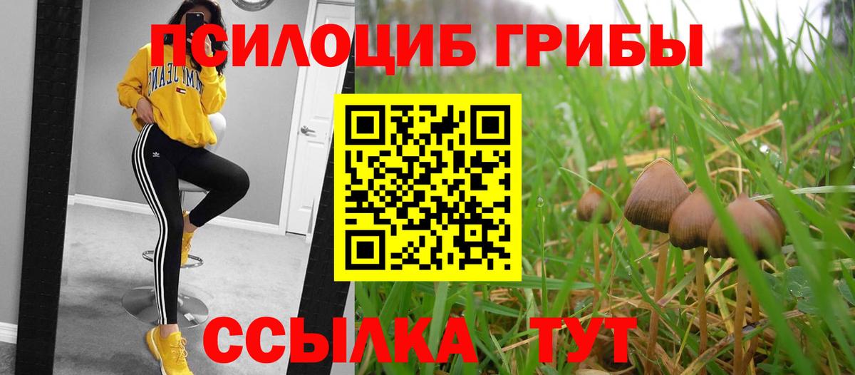 Галлюциногенные грибы Magic Shrooms Кинель